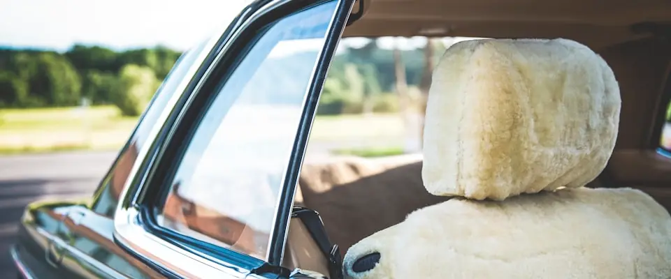 Réhausseur voiture enfant